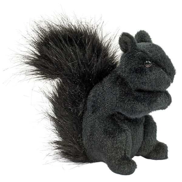 Douglas | Black Squirrel