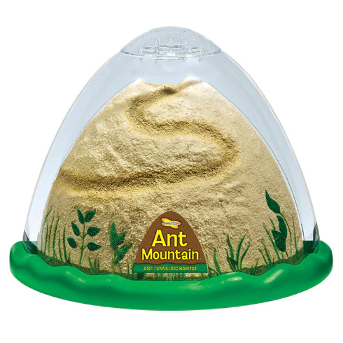 Insect Lore | Ant Mountain