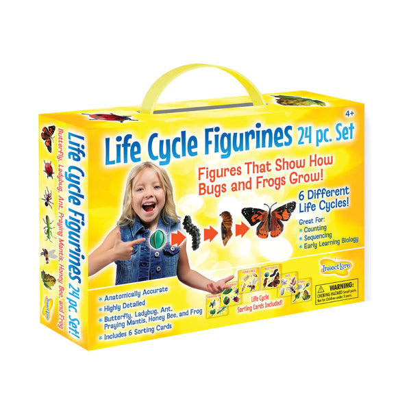 Insect Lore | Life Cycle Figurines